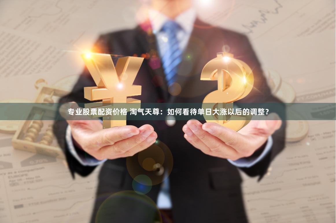 专业股票配资价格 淘气天尊：如何看待单日大涨以后的调整？
