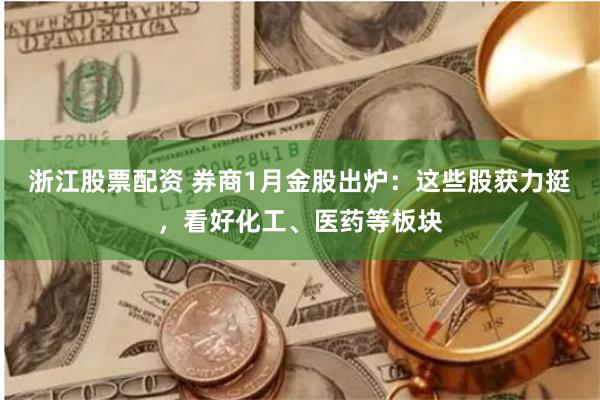 浙江股票配资 券商1月金股出炉：这些股获力挺，看好化工、医药等板块